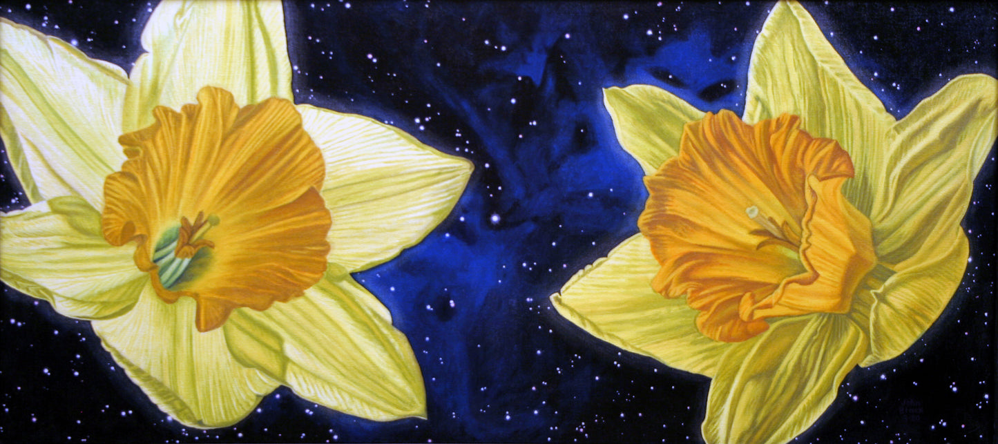 Unframed print of Daffodils in Space.